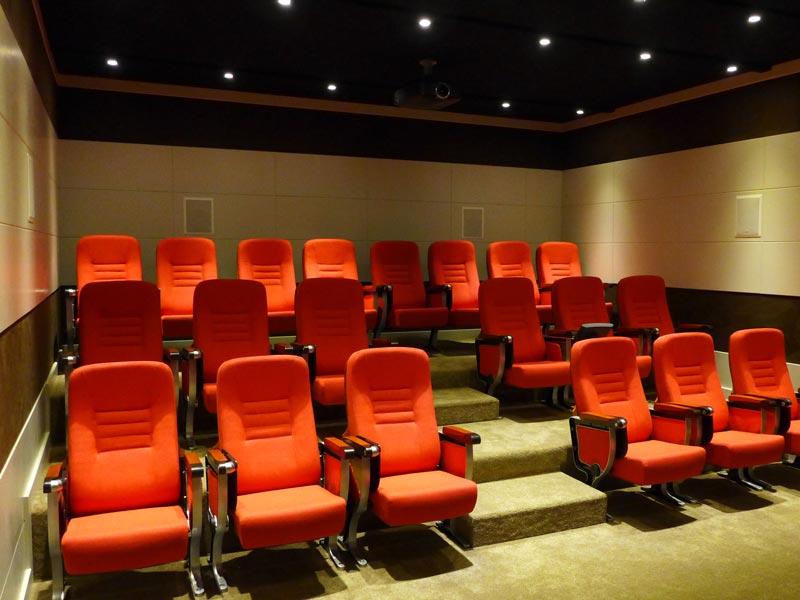 Commercial Cinema and Cinema Multiplexes